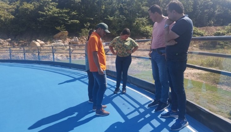 Los veedores no le pierden la vista a la construcción del óvalo de patinaje.