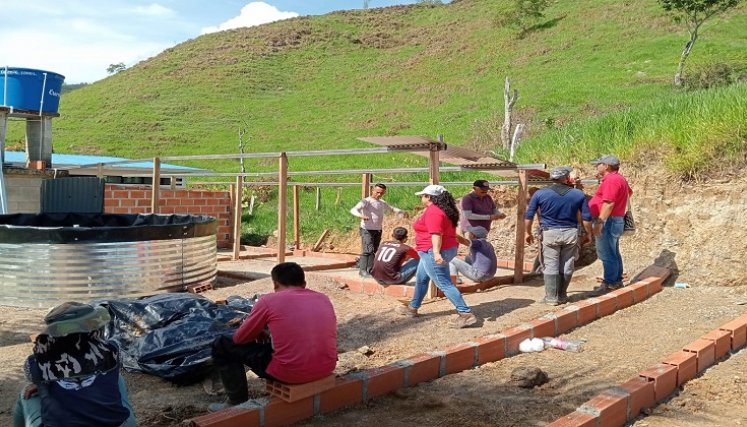 Firmantes de paz de Hacarí trabajan en la adecuación de una granja experimental para resarcir el tejido social.