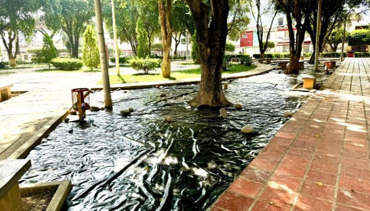 Buscan no solo embellecer los espacios públicos, sino también fortalecer el tejido social y promover la interacción ciudadana en ambientes renovados y seguros. / Foto: Cortesía / La Opinión 