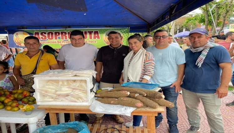 Un paso trascendental da los cultivadores de yuca con los procesos industriales para conquistar mercados.