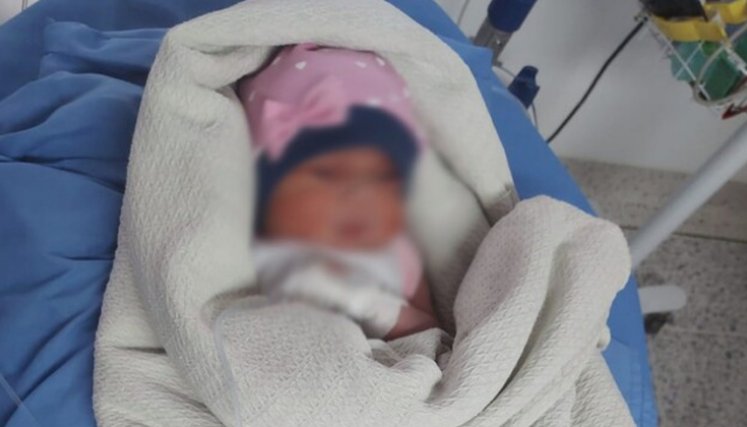 Bebés