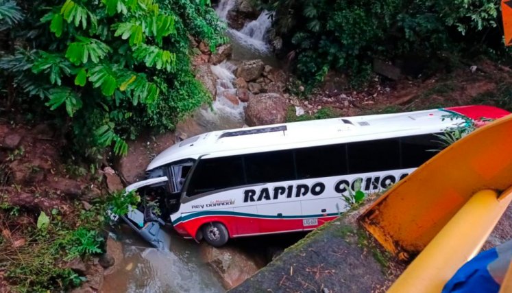 Bus se fue por el precipicio