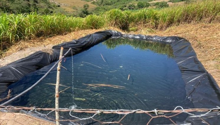 También se adelantan programas encaminados a tener cultivos libre de agroquímicos./ Foto: Cortesía / La Opinión 