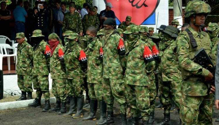 Eln