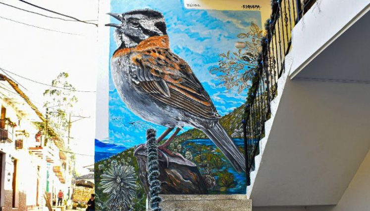 La aviflora de Silos quedó plasmada en un inmenso mural en donde sobresale el nativo pajarito copetón o gorrión./ Foto: Xxxxxx