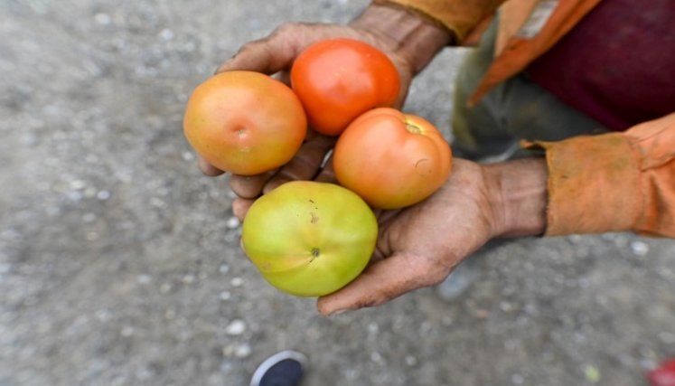 Los equipos de la Planta Procesadora de Tomates y Frutas se oxidan en una bodega del centro de Acopio de Ocaña.