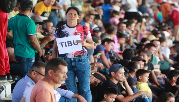 Tibú