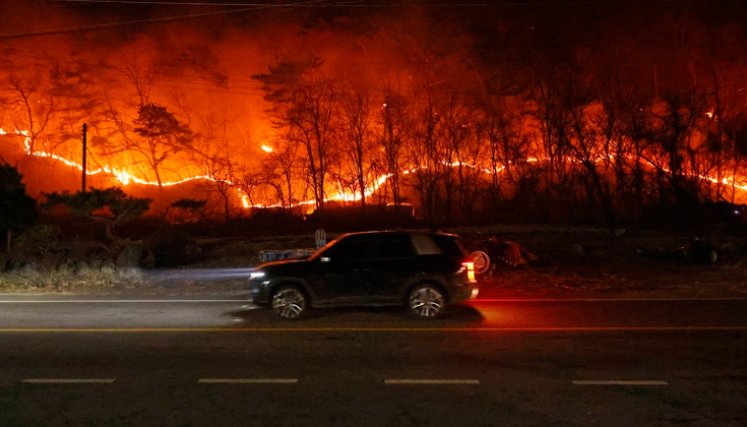 Incendios en Corea del Sur. Foto tomada de redes sociales