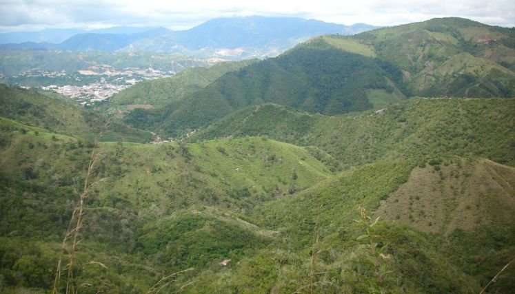 La secretaría de Desarrollo rural promueve la adecuación de los acueductos veredales.