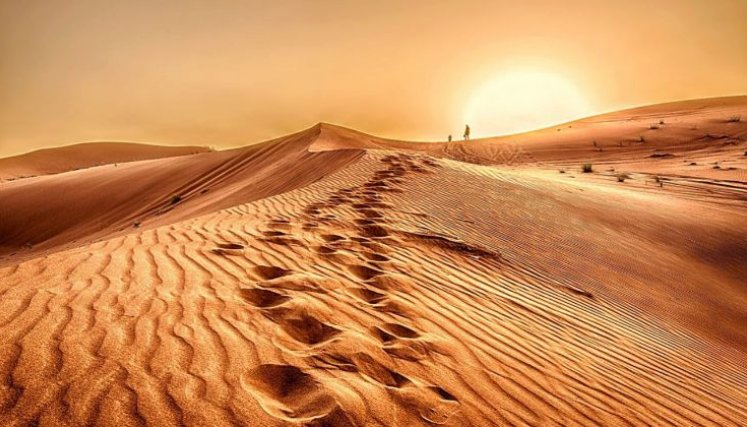 Desierto de Arabia. 