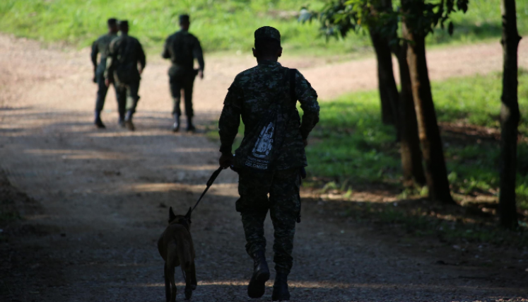 90 días de guerra en el Catatumbo.
