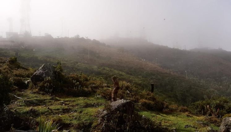 Coordinan plan de compensación forestal del páramo de Jurisdicciones 