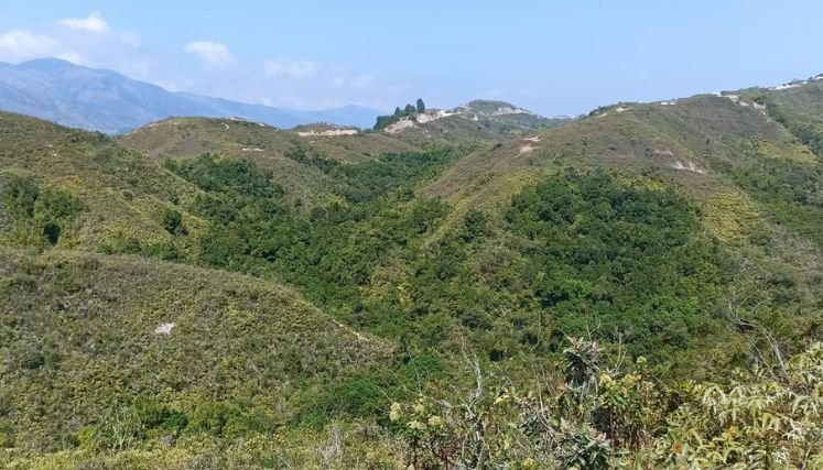 Los campesinos asentados en el páramo de Jurisdicciones reciben un incentivo económico para cuidar la reserva forestal. / Foto: Cortesía