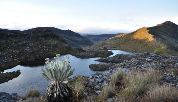 Páramo de Santurbán.