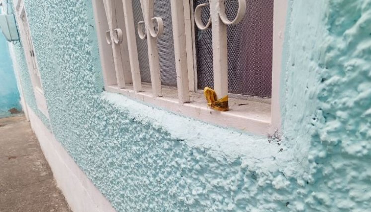 Pistolero-Ventana