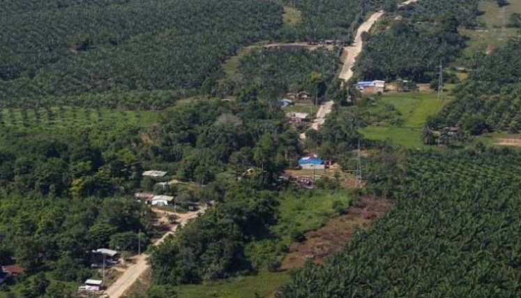 Del Catatumbo salieron desplazados hace tres meses más de 60.000 personas/Foto cortesía