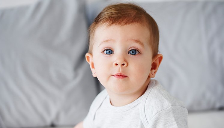 Bebe