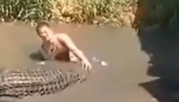 Turista concunde Cocodrilo con estatua