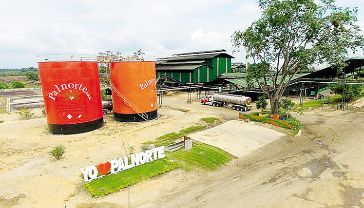 palnorte