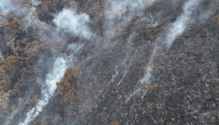 Las malas prácticas agropecuarias con las quemas controladas ocasionan incendios forestales.