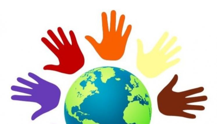 Mundo- cooperativas