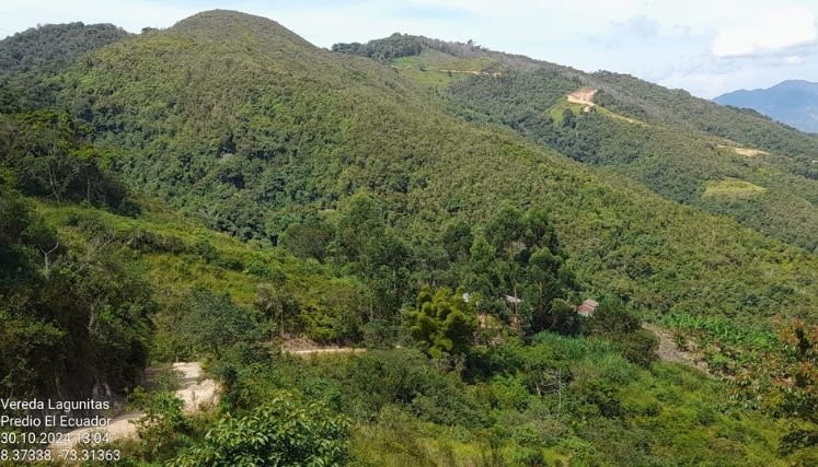 Denuncian a intrusos en la reserva forestal del acueducto independiente.