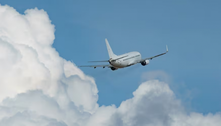 Avion