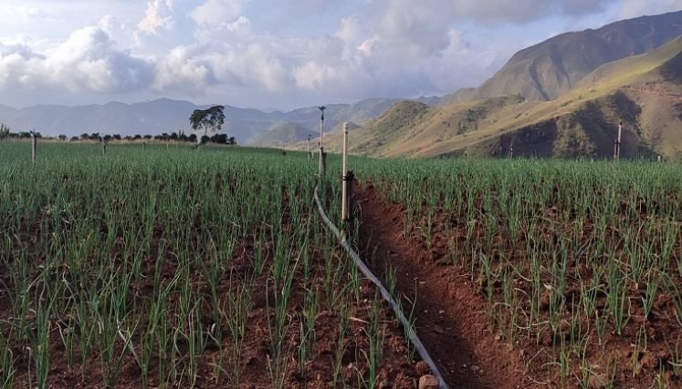 Con el firme propósito de optimizar el servicio de agua potable se adecúan los acueductos en zona rural de Ocaña.