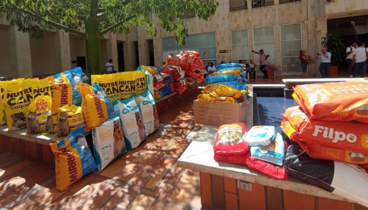 En la Alcaldía se llevo a cabo una gran donaton de alimento que beneficia a albergues, hogares de paso y fundaciones