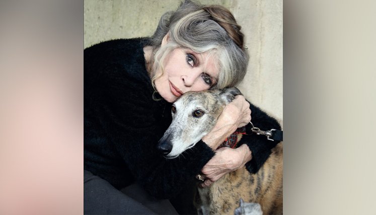 BRIGITTE BARDOT 