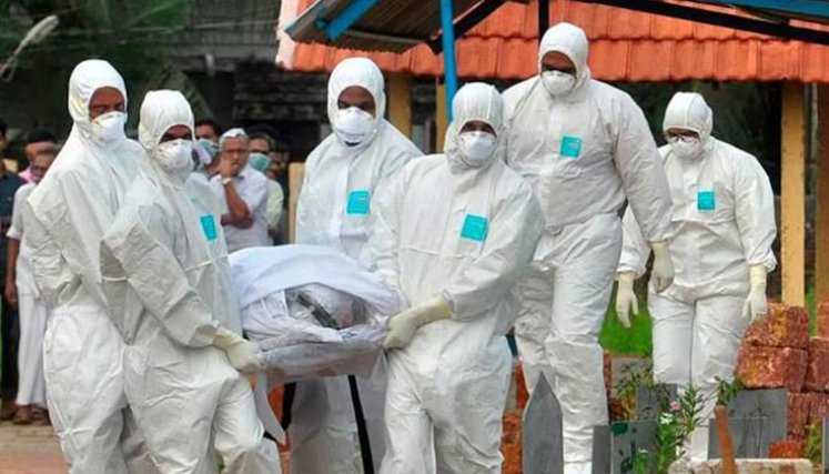 virus-nipah
