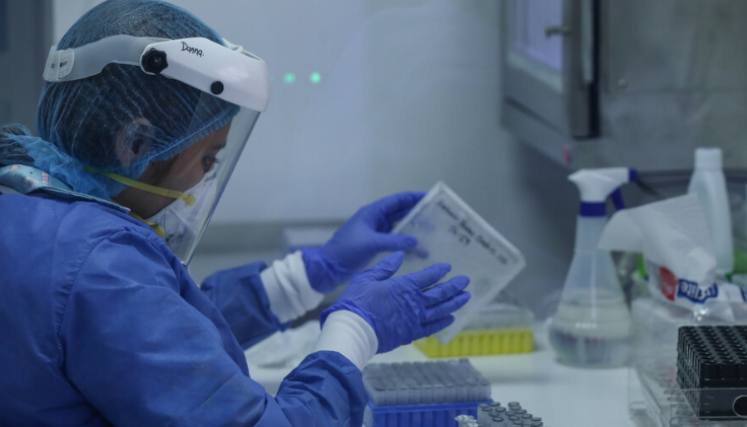 Mujeres de Ciencia 