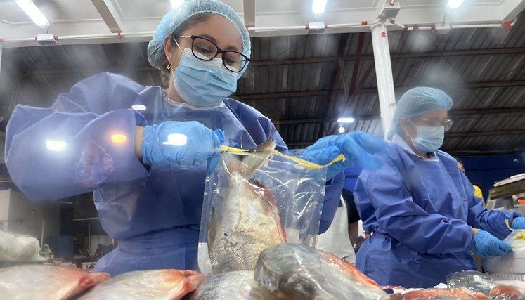 MEDIDAS DE SEGURIDAD EN CUCUTA PARA COMPRAR PESCADO 
