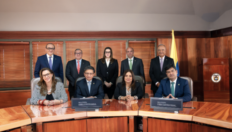 Corte Constitucional