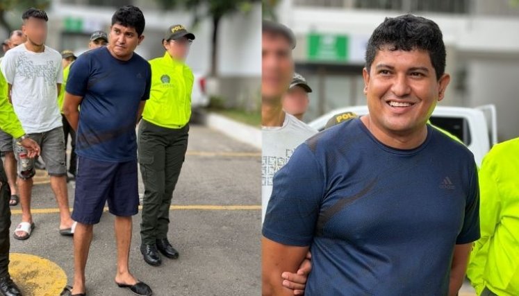 Palomino Familia P.