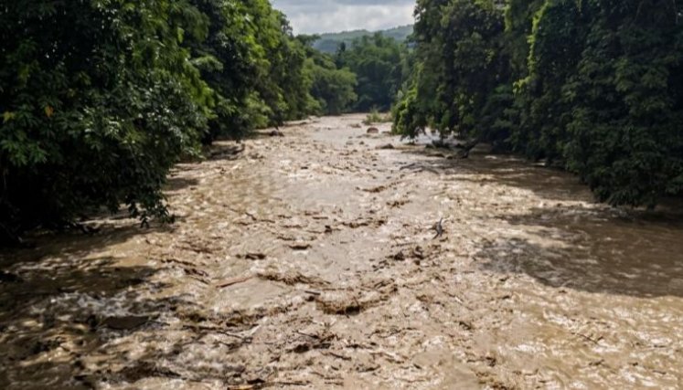 Rio - Campo Dos