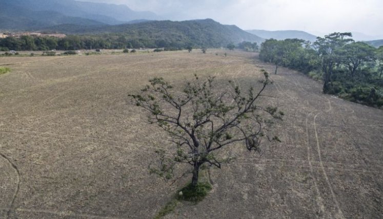 Fenomeno El Niño