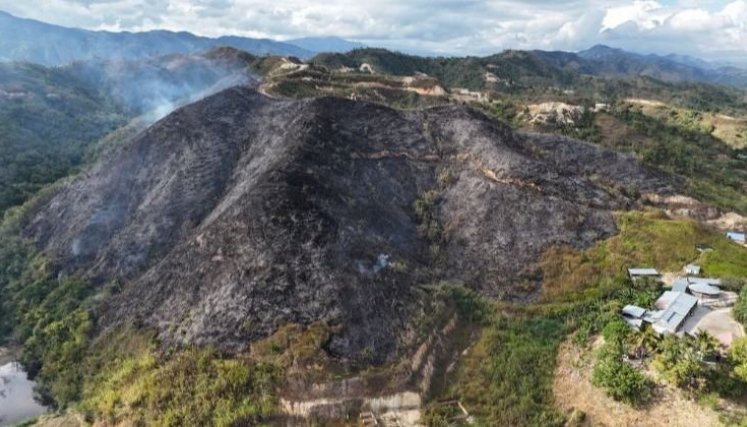 Incendios forestales