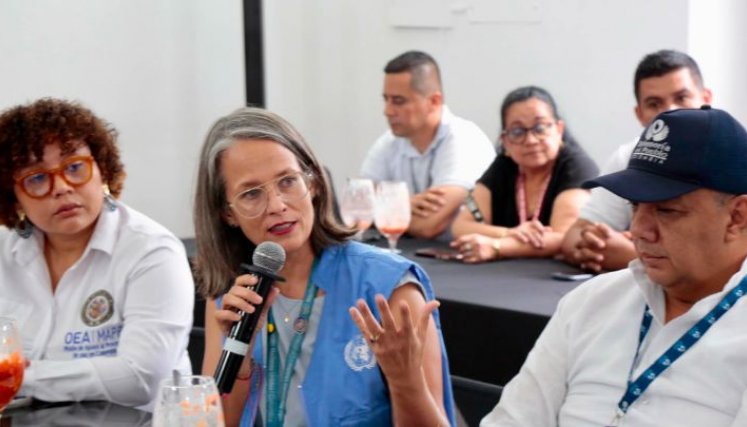 Briggita Von Messling, jefa regional de la Misión de Verificación de las Naciones Unidas en Colombia para Norte de Santander./Foto Cortesía