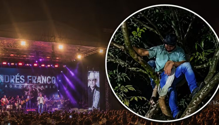De no creer: hombre se quedó dormido en un árbol durante un concierto