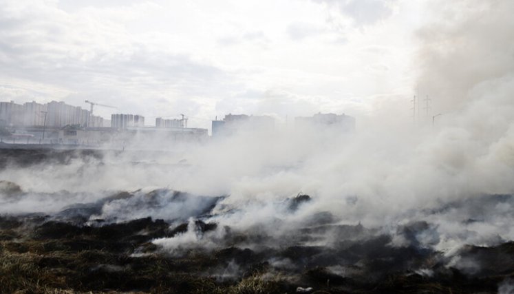 CAR intensifica operativos contra la producción ilegal de carbón vegetal