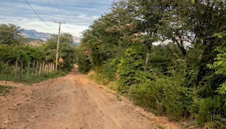 sector La Alejandra