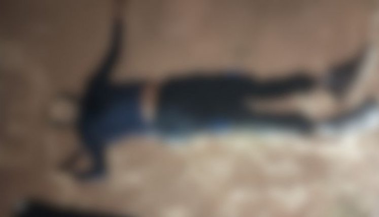 Cuerpo El Mestizo