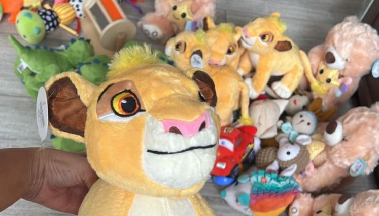 Donaciones de peluches vzla