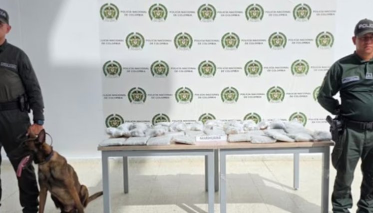 Droga en encomiendas .FOTO: POLICÍA NACIONAL.