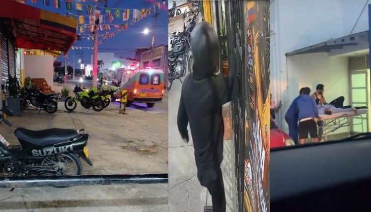 Gato Ocaña Herido