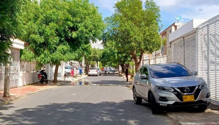 Robos de autopartes en Colsag y La Riviera