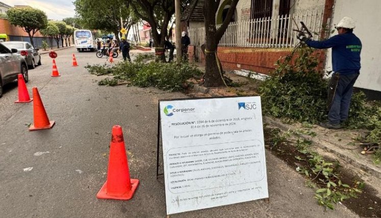 En lo corrido de 2026, el consorcio ha intervenido más de 3.200 puntos en siete de las diez comunas de Cúcuta, donde el crecimiento de los árboles reducía la cobertura de las luminarias./Foto: cortesía