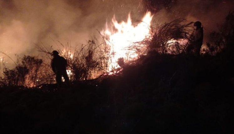 INCENDIOS EN COLOMBIA