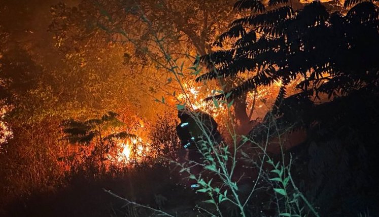 INCENDIOS EN TOLIMA 